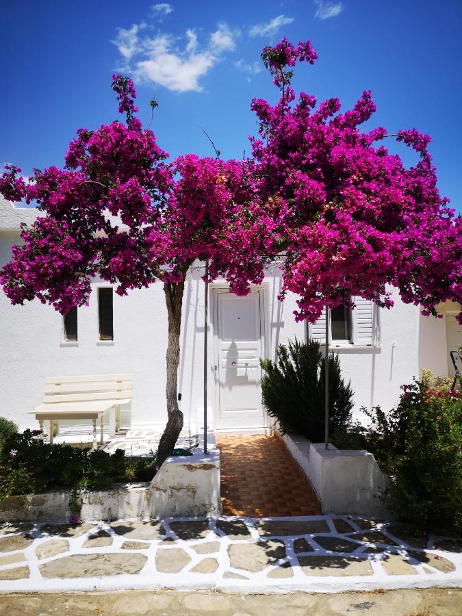 Kassandra Garden Apartment *