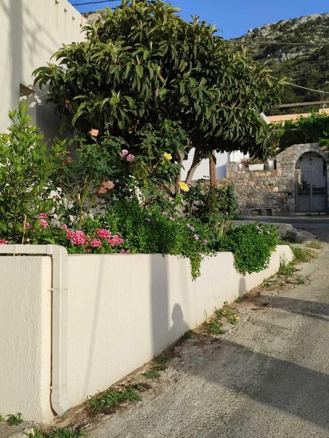Kassandra Garden Apartment Istron