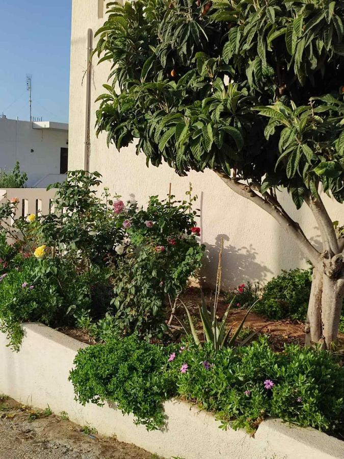 Kassandra Garden Apartment *