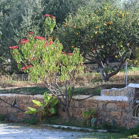 Kassandra Garden Residence Istro Exterior photo
