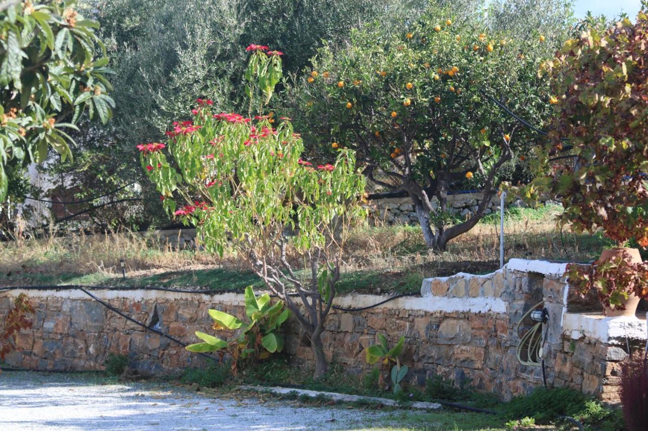 Apartment Kassandra Garden *