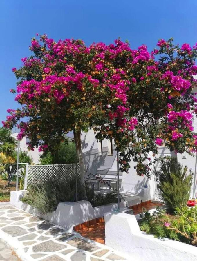 Kassandra Garden Istro