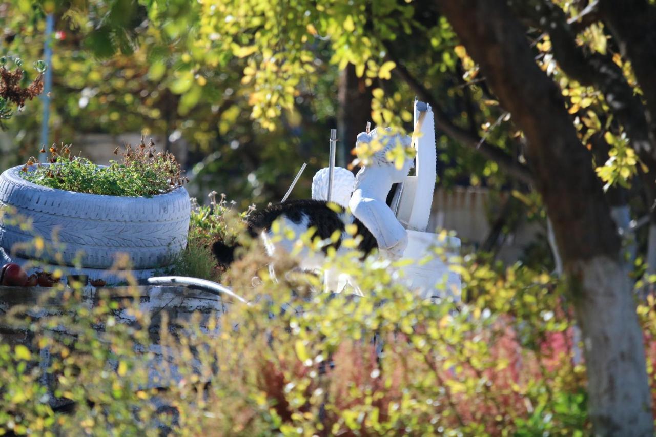 Kassandra Garden Istro