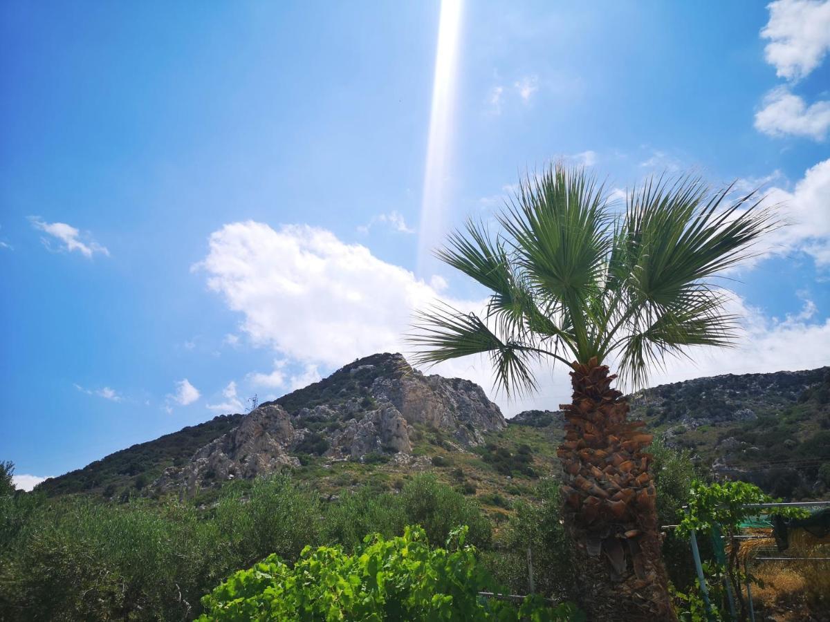 Kassandra Garden Istro