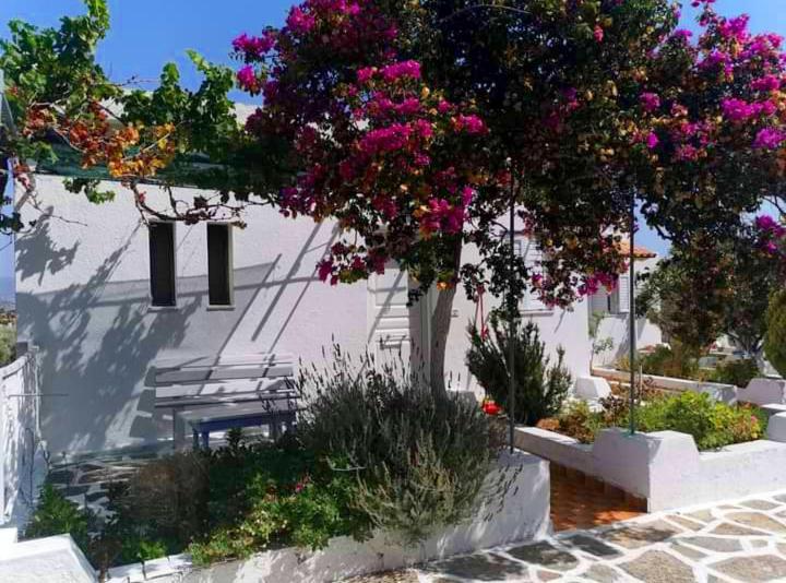 Kassandra Garden Istro